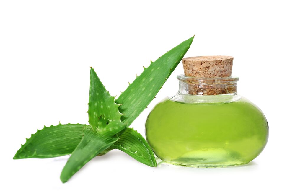 Aloe extract – cream composition Proctonic