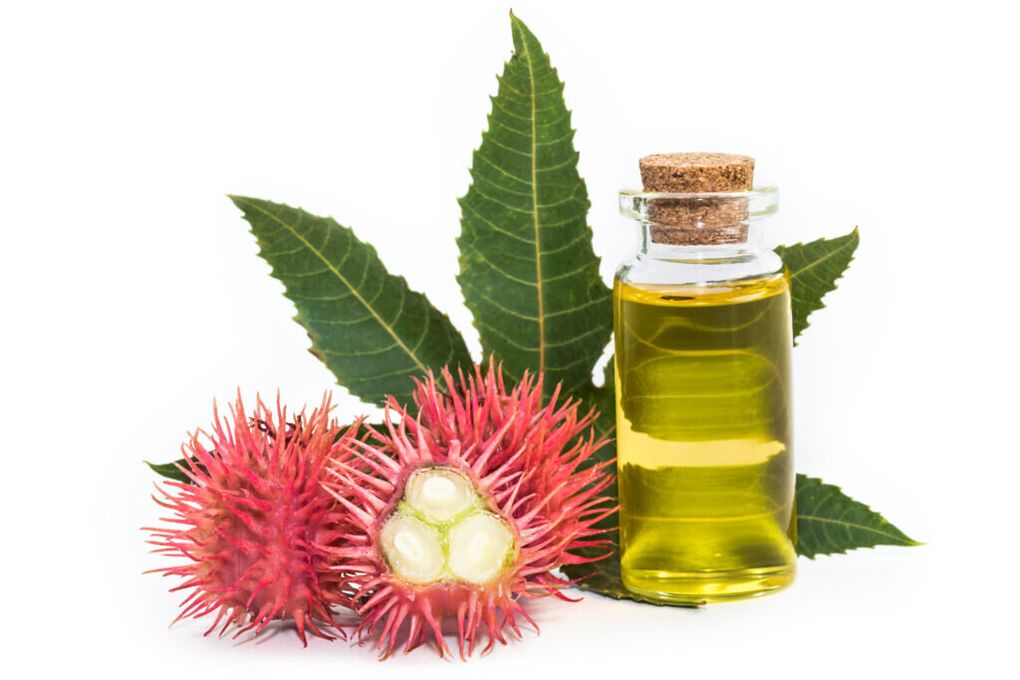 Castor oil – composition of the cream Proctonic
